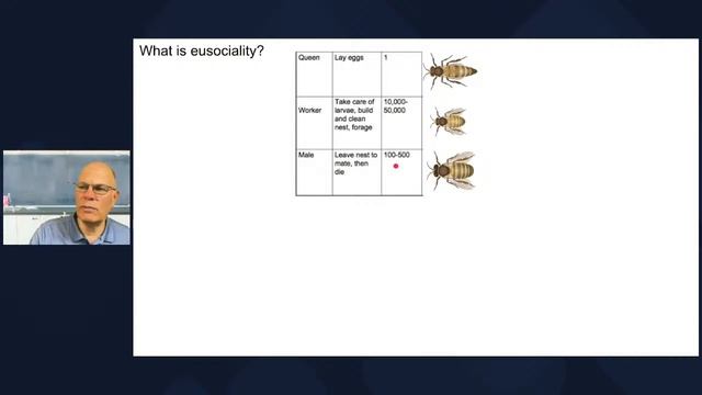 How do Organisms Respond to Stimuli? AP Bio Review!