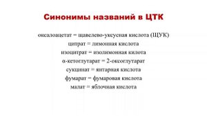 Цикл Кребса: как понять и запомнить?
