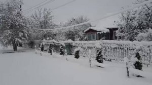 НАС ЗАСЫПАЛО СНЕГОМ! РАЗГРЕБАЕМСЯ.