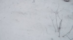 Полнотелые для МР 515. Рассуждения.Хронограф.Стрельба.