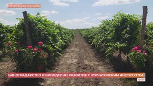Михаил Ковальчук приехал в новочеркасский ВНИИ виноградарства и виноделия имени Потапенко