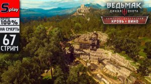 The Witcher 3 Wild Hunt почти на 100% (НА СМЕРТЬ) - [67-стрим] - DLC Кровь и вино