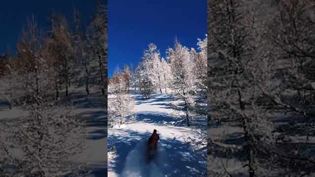 Ни к одному месту, куда стоит отправиться, нет кратчайшего пути.