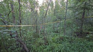 Земельный участок 733 м² в населённом пункте Шонгуй