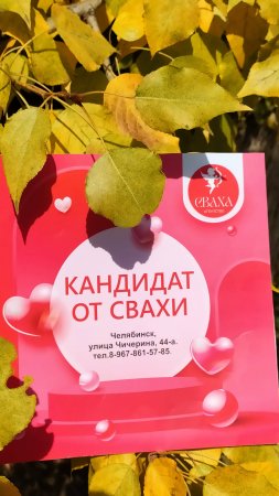 VID_20241005_124610