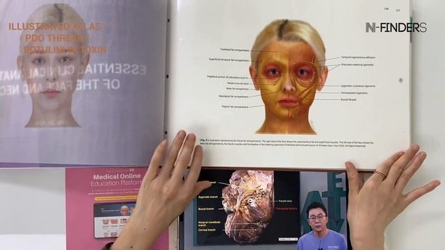 Effective Study Techniques to try : [The Great Anatomy + Illustrated Atlas book]