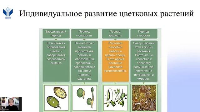 Разработка методики оценки перспективности интродукции растений, в условиях ХМАО-Югры. смотреть онлайн