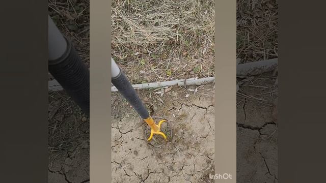 Готовлю грядку под горох. Первый приезд в сад. Эксперимент (что лучше, прямой посев или рассада) смотреть онлайн