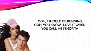 Señorita - Senorita - Letra Lyrics Songtexte 歌词 текст песни