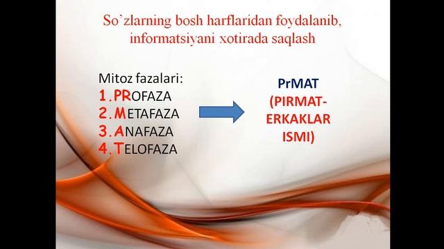 митоз, mitoz смотреть онлайн