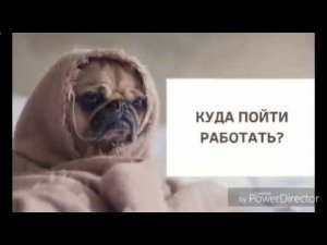 эко бизнес для каждого