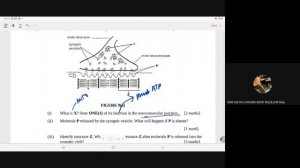 MOCK PSPM kml (question 7-11)