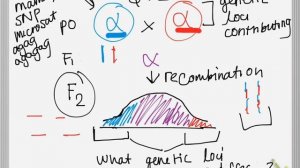 QTl and GWAS