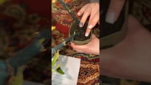 Честный отзыв на Питомник Росток из Челябинска