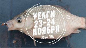 Красивые поклевки карася, лайфхаки, зимняя рыбалка на озере Уелги. Первый лед 2024-2025.