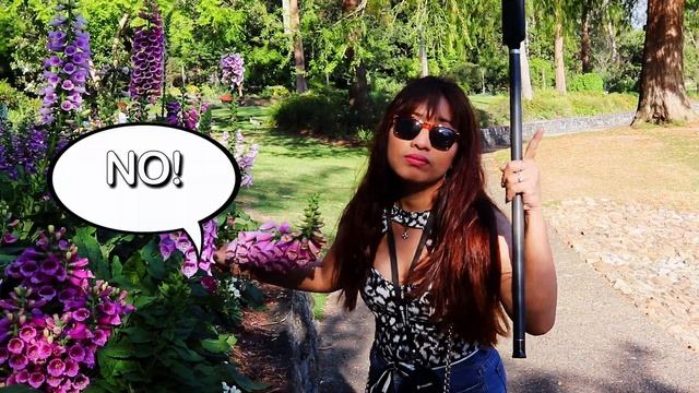 Mt Cootha Botanic Gardens BNE l Brisbane Australia botanical garden queensland смотреть онлайн