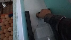 Инкубатор Матрица Вегас. Режимы инкубации бройлера. Закладка в два яруса.
