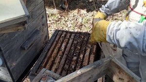 Формирую двух маточную семью 2022 года.