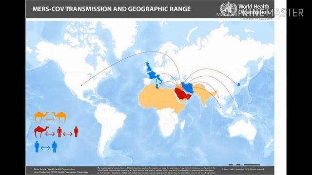 Coronavirus history 1960 to 2020/ symptoms/ death tolls/ history of coronavirus species/ Bats