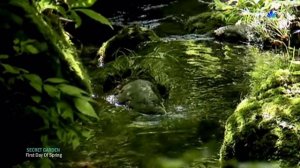 ♡ SECRET GARDEN -  First Day Of Spring