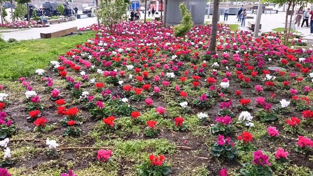 Цветы в парке Зарядье ♥️