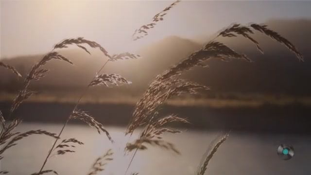 Премьера. Малая Родина