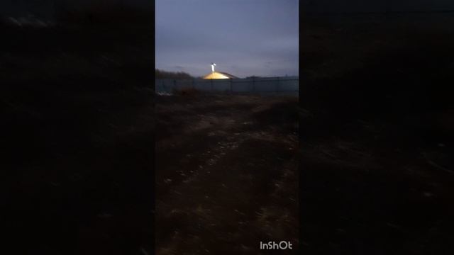 Сад моей мечты поражён!😊😉