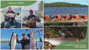 Рыбалка на севере Карелии, озеро Пяозеро