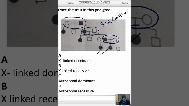 pedigree analysis, X linked dominant - Trace the trait in this pedigree- A X- linked dominant