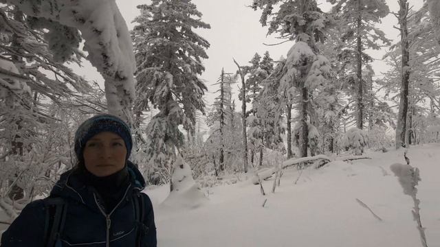 Восхождение на гору Изюбринная 23 ноября 2024