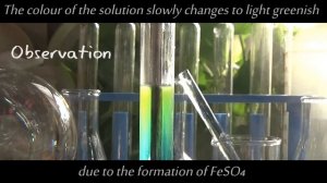 Fe + CuSO4 = FeSO4 + Cu | Copper sulfate and iron Nail | Single displacement reaction