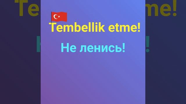НЕ ЛЕНИСЬ по турецки - уроки и грамматика турецкого языка онлайн устойчивые выражения турецкий язык