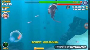 Играем в Hangry Shark(без звука)!!!