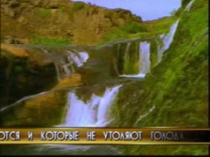 Сура 88. Гошия (Покрывающее)