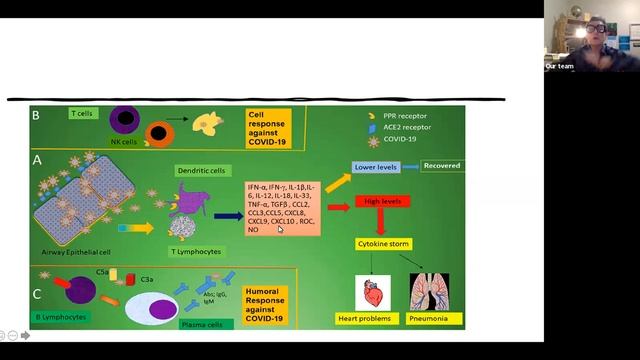 Sveta silverman on NRF2 and COVID 19 literature update NOVEMBER 2020mp4 смотреть онлайн