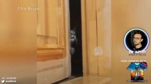 SNAILKICK ПАЛ В ШОК КОГДА УВИДЕЛ ЗАСМЕЯЛСЯ ПРОИГРАЛ 08.05.2019