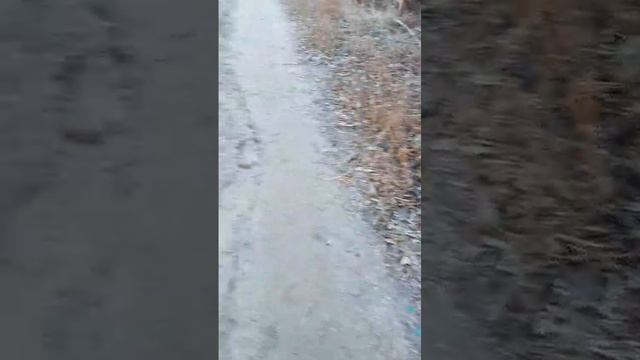 Заливает двор многоквартирного дома по 11 Динамовскому проезду