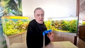 #2 Второй стрим с ответами на вопросы   / Аквариумистика с Геннадием Посейдонычем