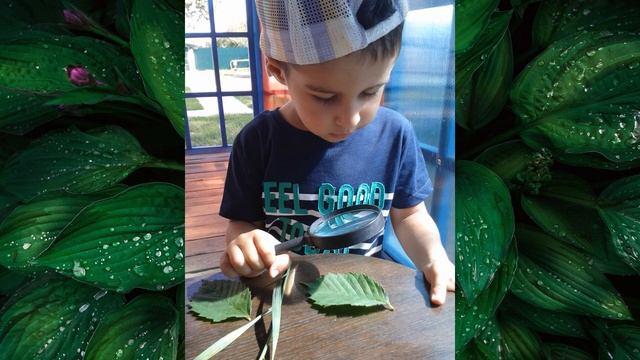 #КонкурсВыготского2019ЗаводскихгородВоронеж смотреть онлайн