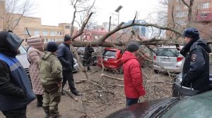 Владивосток накрыл циклон с сильным ветром