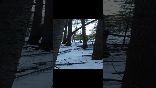 1000015630.mp4