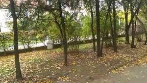 701. Факты .Менделеев ,меры и весы .