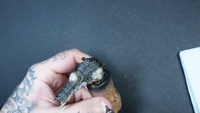 Grimdark Tyranid Pyrovore __ Unique Texture __ Tyranid Biovore