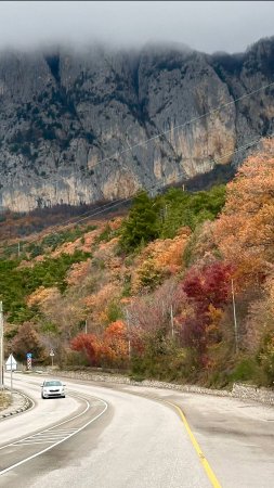 Золотая осень в Крыму. Конец ноября 2024