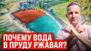 Построили пруд с ржавой водой | Как очистить пруд от ржавчины | Химик-инженер о цвете воды в пруду