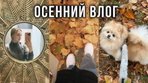 проведи один осенний день со мной🍂 vlog