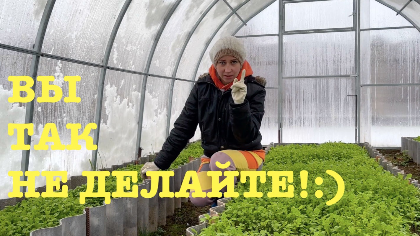 #163. Тыква спасена! В гости к друзьям. Прогулка на делянку. [Жизнь на своей земле] смотреть онлайн