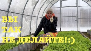 #163. Тыква спасена! В гости к друзьям. Прогулка на делянку. [Жизнь на своей земле]