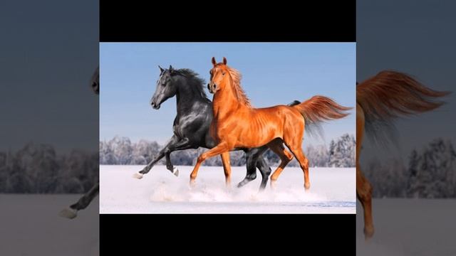 Далеко..Далеко.. смотреть онлайн