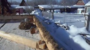 Установка сруба бани 6 на 6 - Этап №2